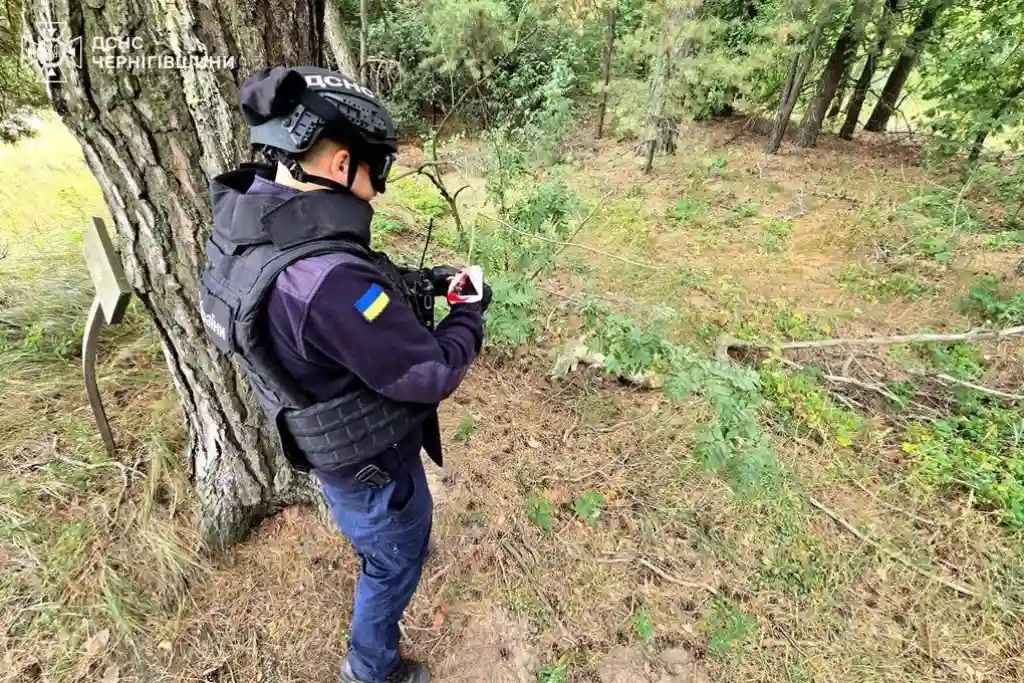 Рятувальники Чернігівщини: пожежа, розмінування та допомога населенню за добу
