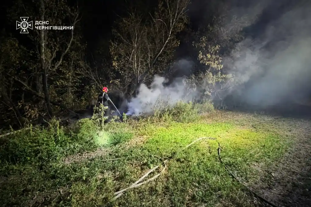 На Чернігівщині за добу сталося 10 пожеж і вилучено понад 50 вибухонебезпечних предметів