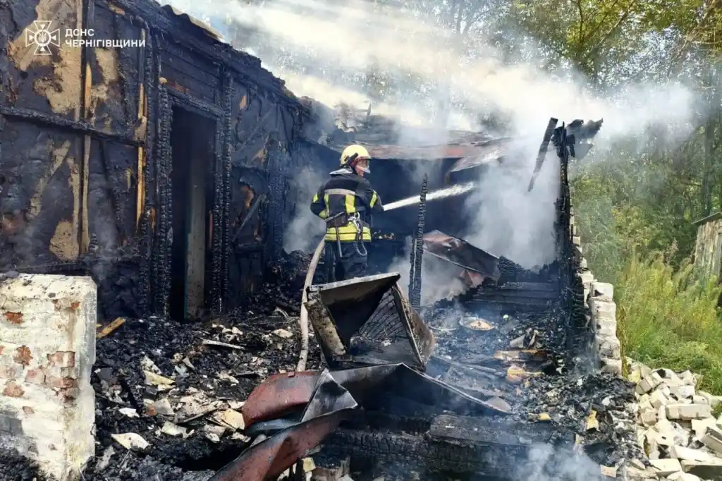 На Чернігівщині рятувальники витягли трьох цуценят із палаючого будинку