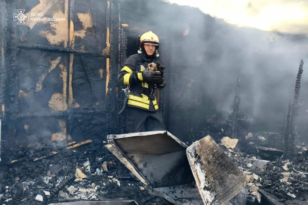 На Чернігівщині рятувальники витягли трьох цуценят із палаючого будинку